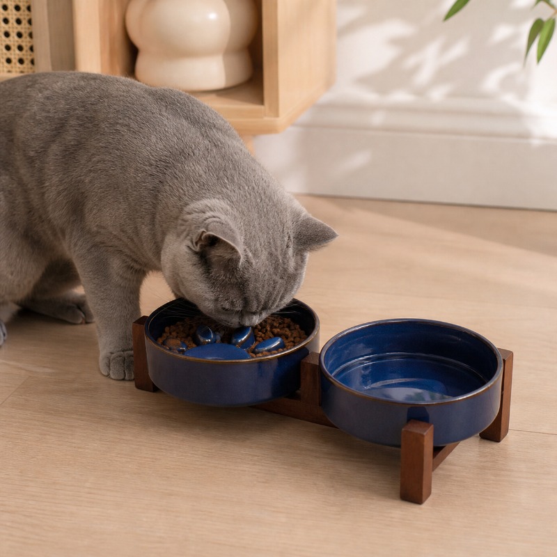 2027 Japanese-style Kiln Ceram - Royal Canin Food Medium review and price