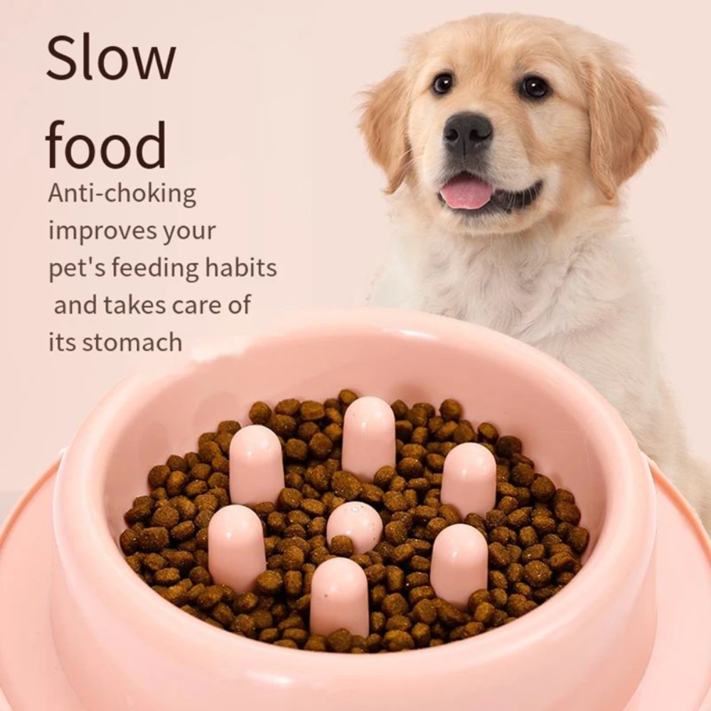 Pet Dog Slow Feeder Bowl Fun N - Royal Canin Food Medium review and price