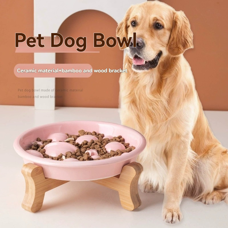 Ceramic Planet Slow Feeder Dog - Royal Canin Food Medium review and price